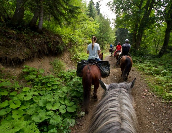 Летние развлечения на территории курорта Красная Поляна (ex. Горки Город) - Отель Novotel Resort and Spa Krasnaya Polyana / Новотель Резорт и Спа Красная Поляна